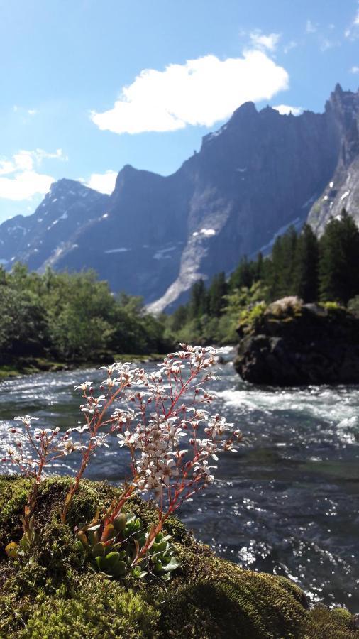Trollveggen Camping 翁达尔斯内斯 外观 照片